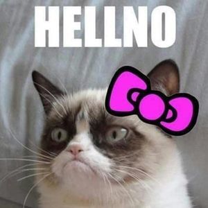 Meet your Posher, Genevieve